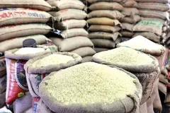 افزایش ۱۶ درصدی تولید برنج کشور؛ برداشت ۹۰ درصد محصول انجام شد