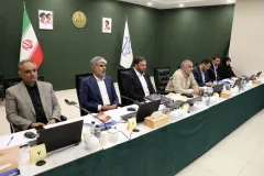 انتخاب نمایندگان مجلس در مجامع و شورا‌ها