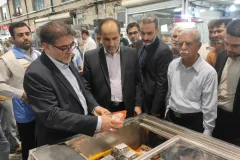 بازدید معاون سازمان بازرسی از میادین میوه و تره‌بار تهران