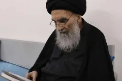 تسلیت آیت‌الله سیستانی در پی رحلت آیت‌الله شبیری زنجانی