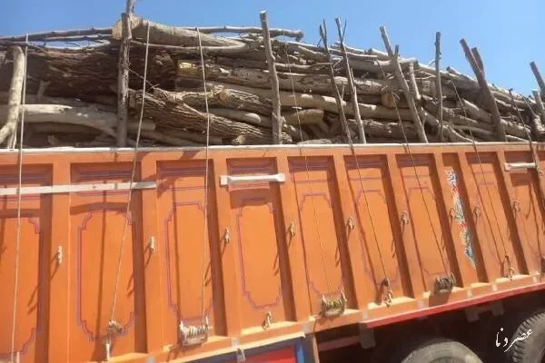 توقیف کامیون حامل چوب قاچاق در لوداب