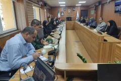 ثبت حدود ۲ هزار تولد در کهگیلویه و بویراحمد؛ میانگین سن ازدواج ۳۲ سال
