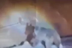 حضور خرس قهوه‌ای در روستای دلیرچ مارگون ثبت شد