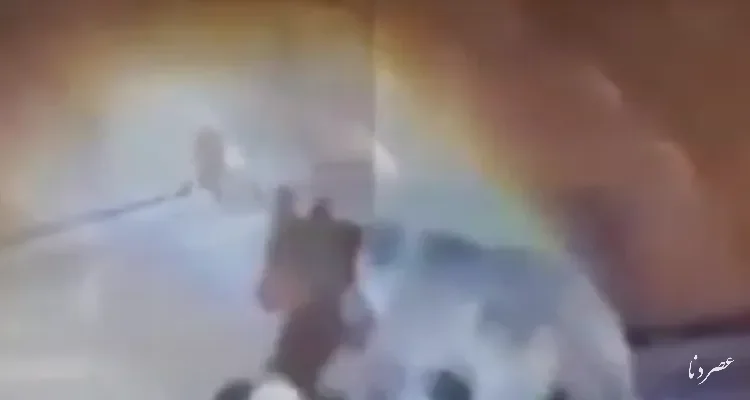 حضور خرس قهوه‌ای در روستای دلیرچ مارگون ثبت شد