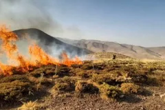 شناسایی ۱۱ عامل آتش‌سوزی در جنگل‌ها و مراتع کهگیلویه و بویراحمد