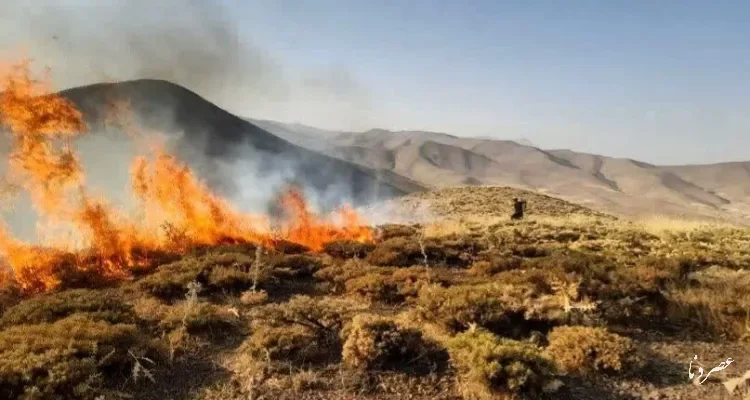 شناسایی ۱۱ عامل آتش‌سوزی در جنگل‌ها و مراتع کهگیلویه و بویراحمد
