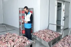 ضبط و معدوم‌سازی ۲۵۰ کیلوگرم آلایش مرغی غیربهداشتی در یاسوج