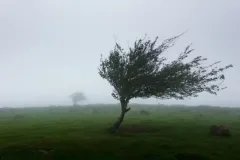 هشدار نارنجی هواشناسی؛ بارش شدید و خطر سیلاب در ۳ استان کشور