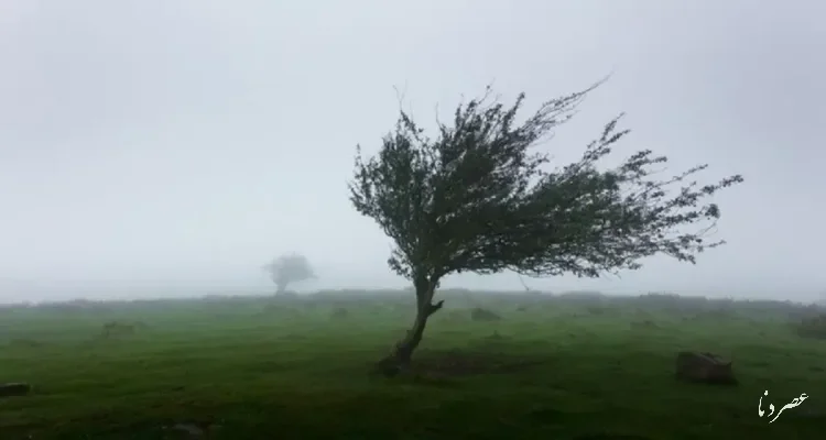هشدار نارنجی هواشناسی؛ بارش شدید و خطر سیلاب در ۳ استان کشور