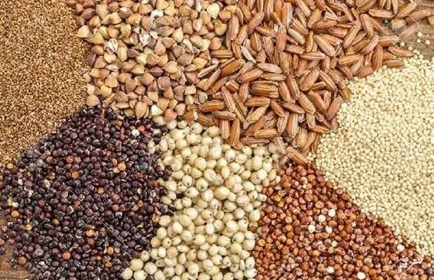 ۱۱ هزار و ۵۱۰ تن بذر برای کشت پاییزه کهگیلویه و بویراحمد تأمین شد